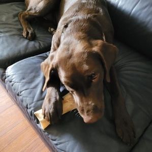 Meet your Posher, Kendra